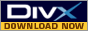 Free Download of DivX